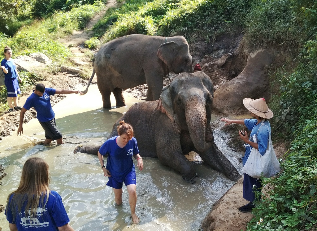elefant tours erfahrungen